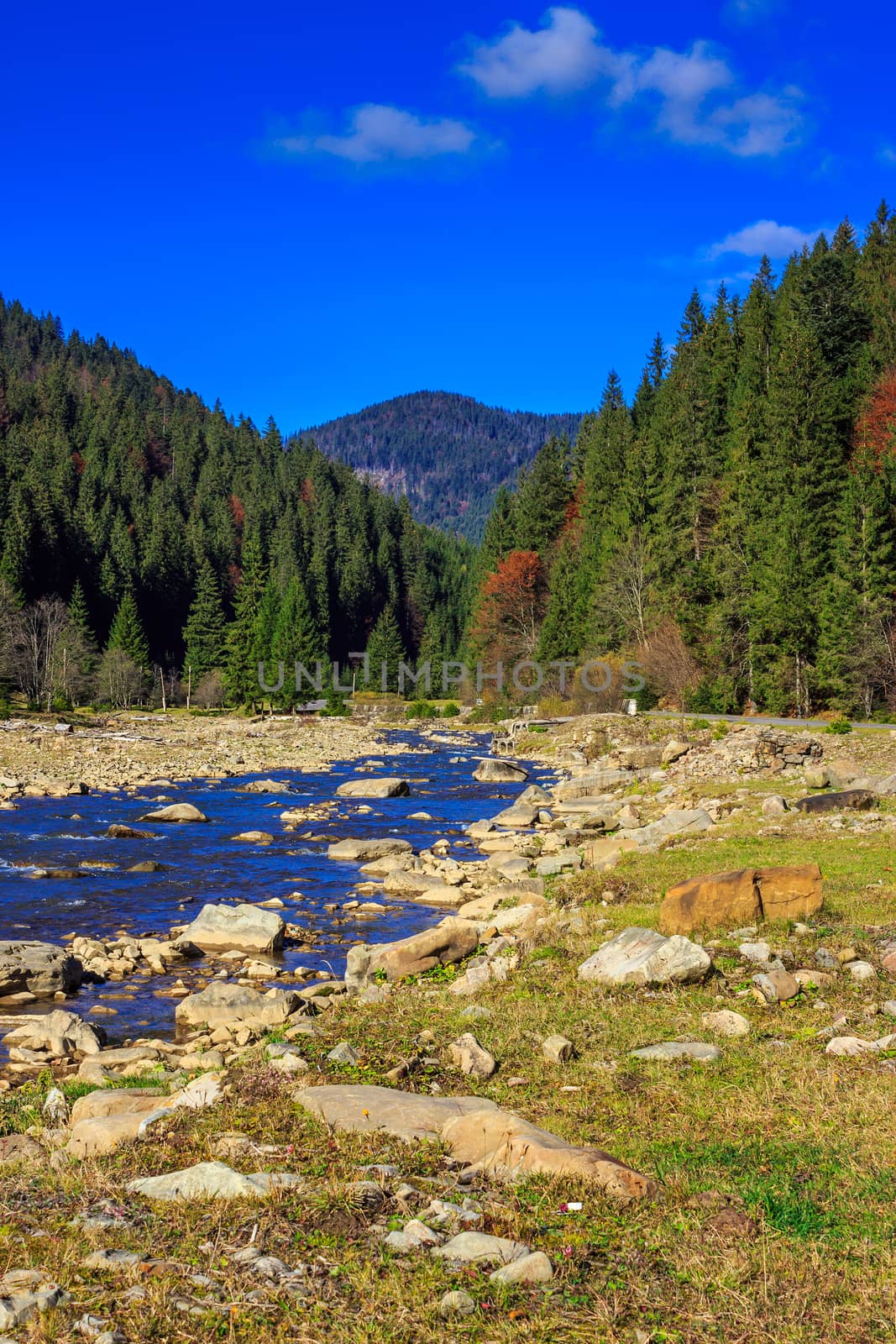 autumn landscape. rocky shore of the river that flows near the pine forest at the foot of the mountain.