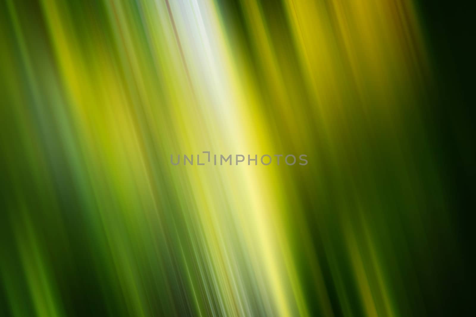 abstract background Spring fresh blurred background