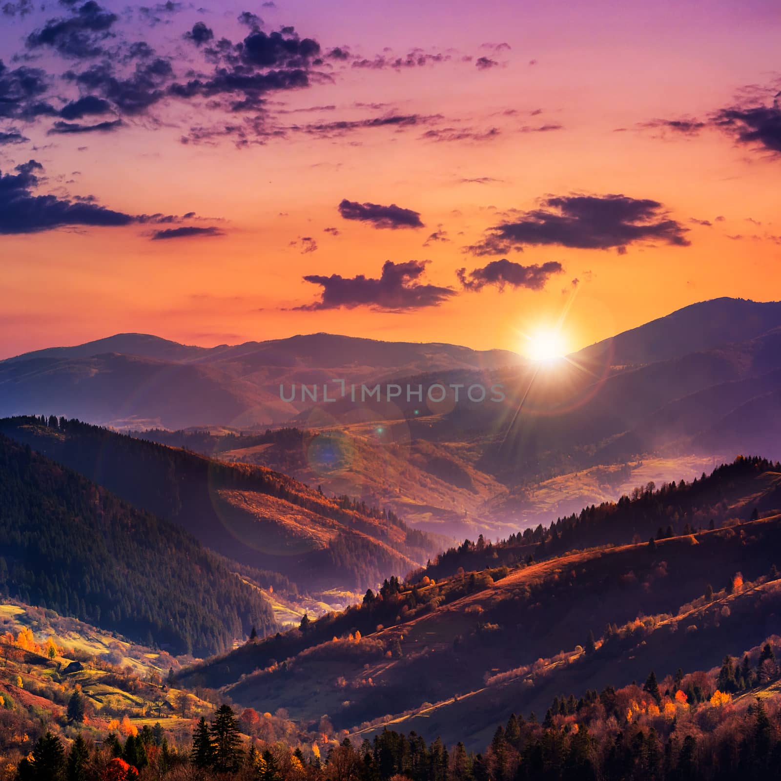 autumn landscape. forest on a hillside covered with red and yellow leaves. over the mountains against blue sky clouds in evening