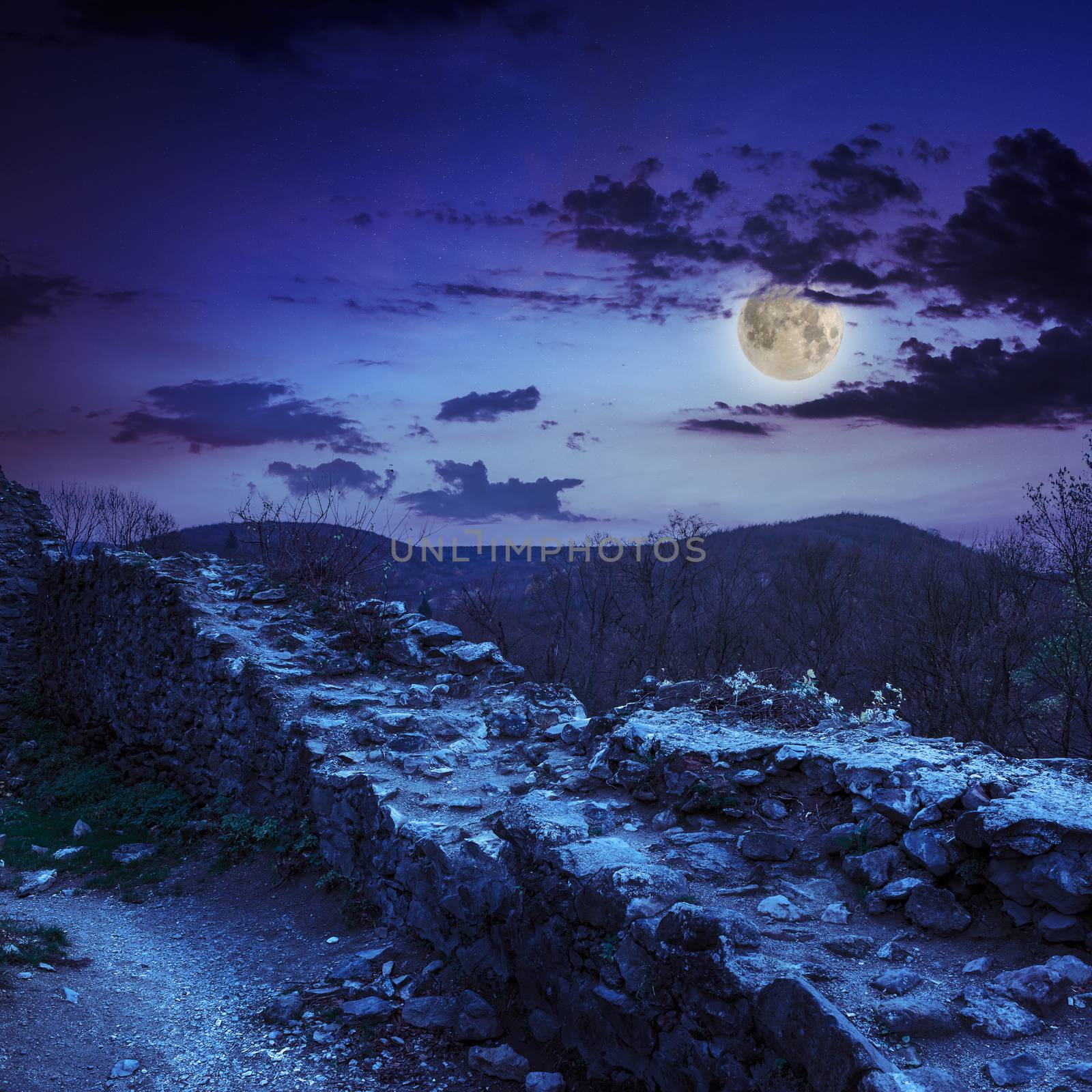 ruins of an old castle in the mountains at night by Pellinni
