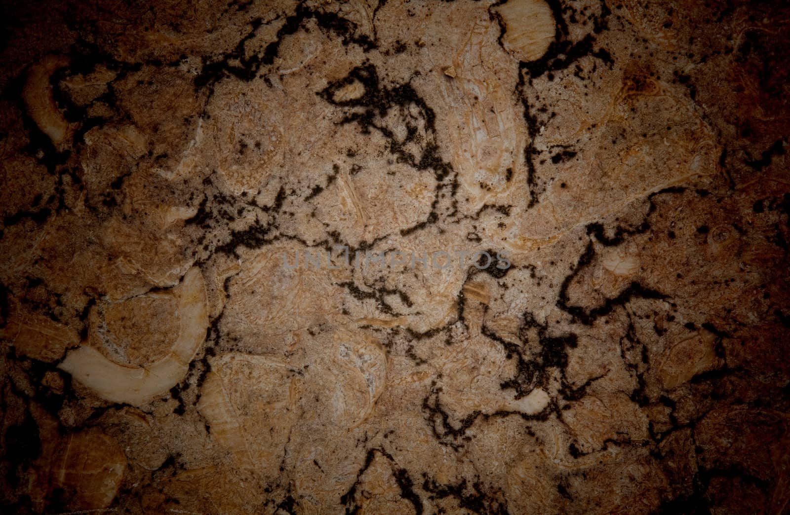 Vignetted stone wall background with lots of texture