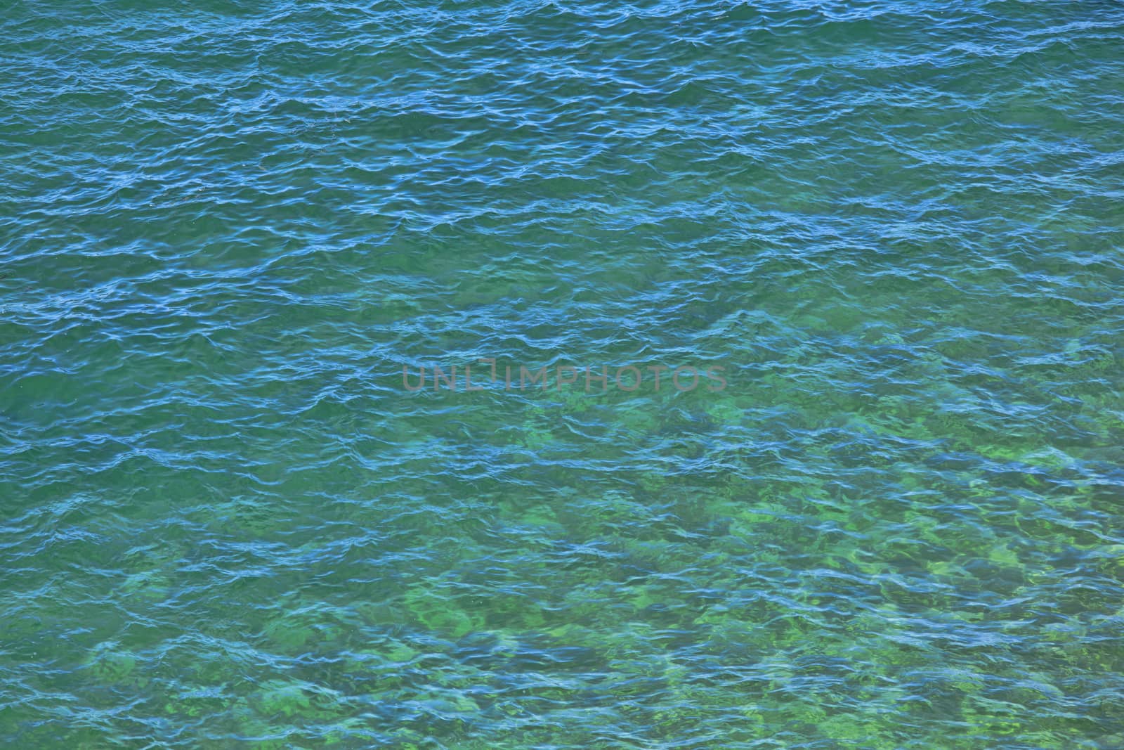Water surface with small waves 