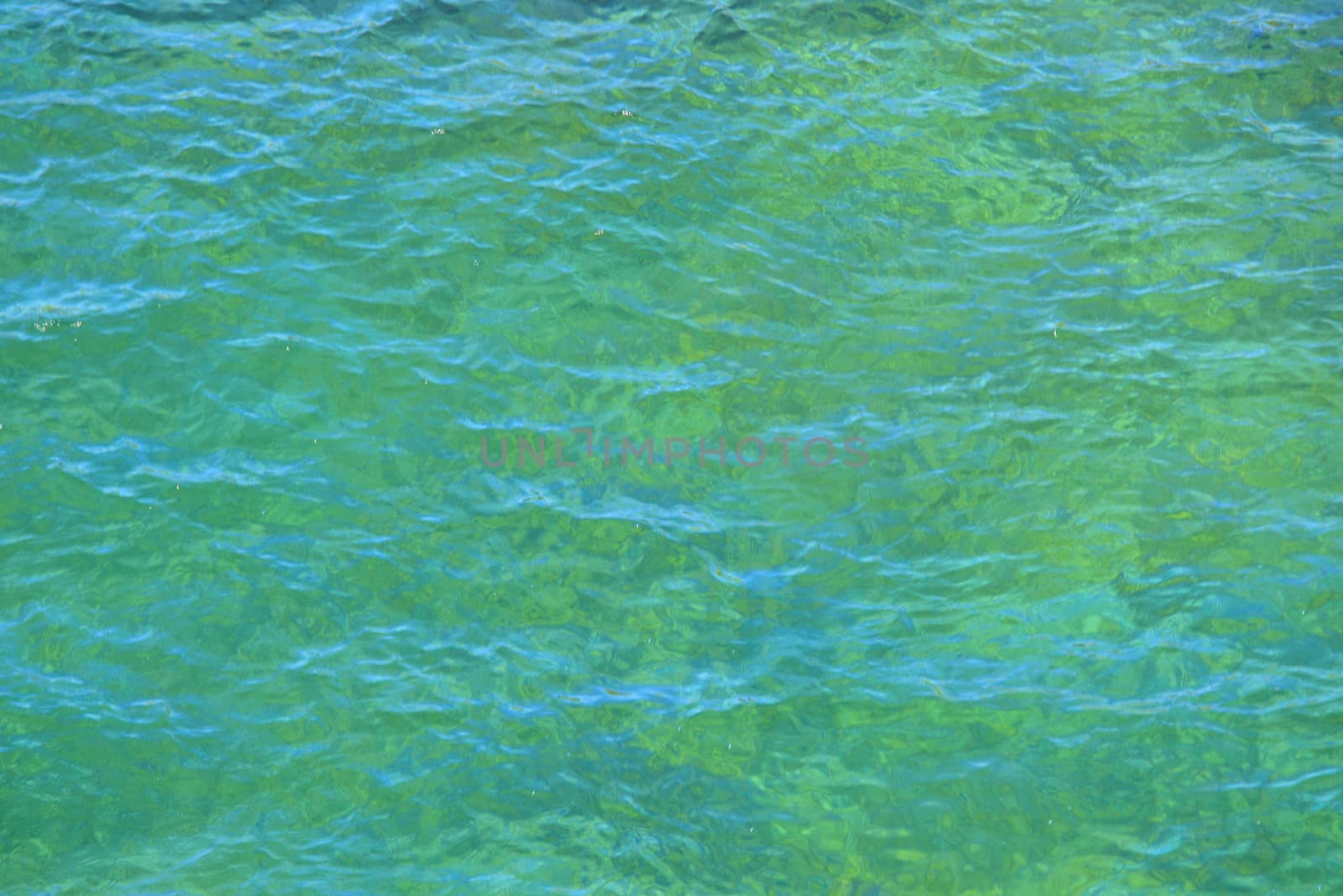 Water surface with small waves 