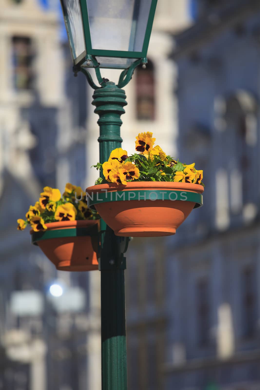 Typical metal street lamp at Mafra (Portugal)