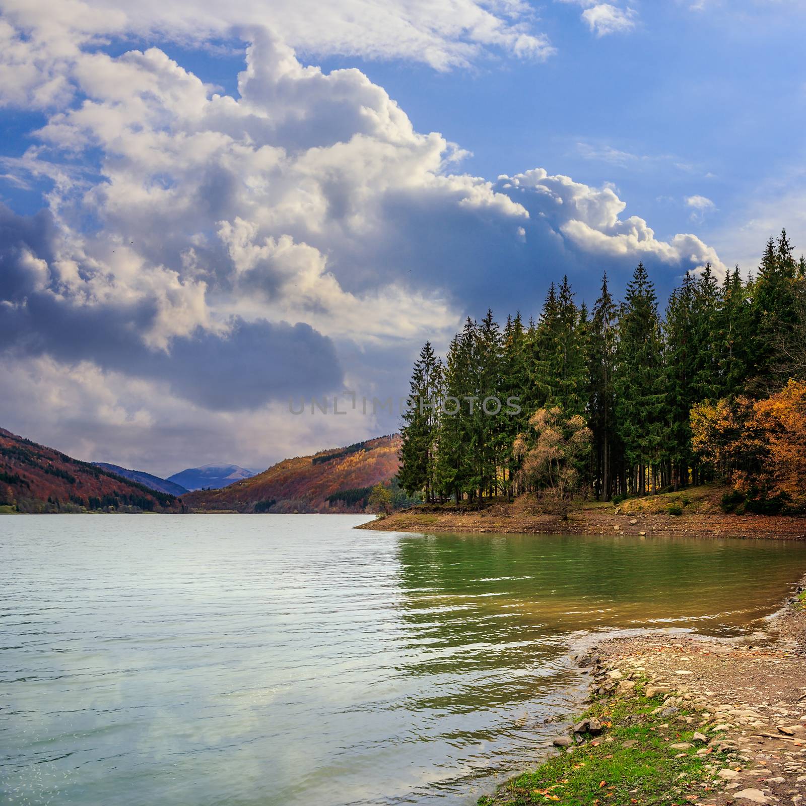 Mountain lake and colorful foliage in Autumn coniferous forest