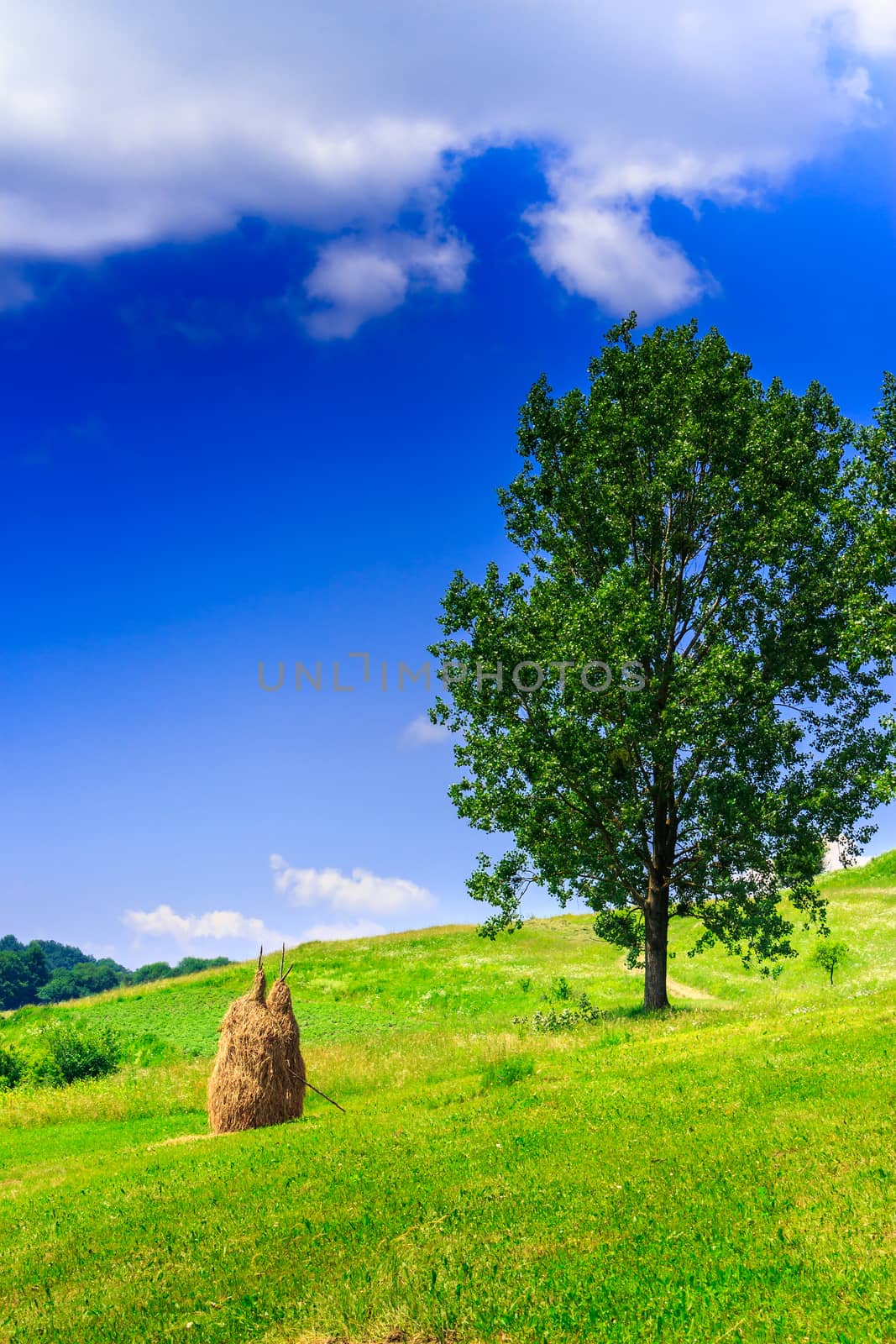 Stack of hay in the mountains on a mountain meadow with trees vertical
