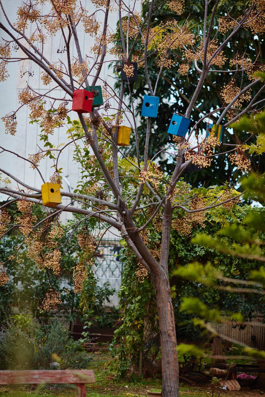 Many colorful bird houses on the tree