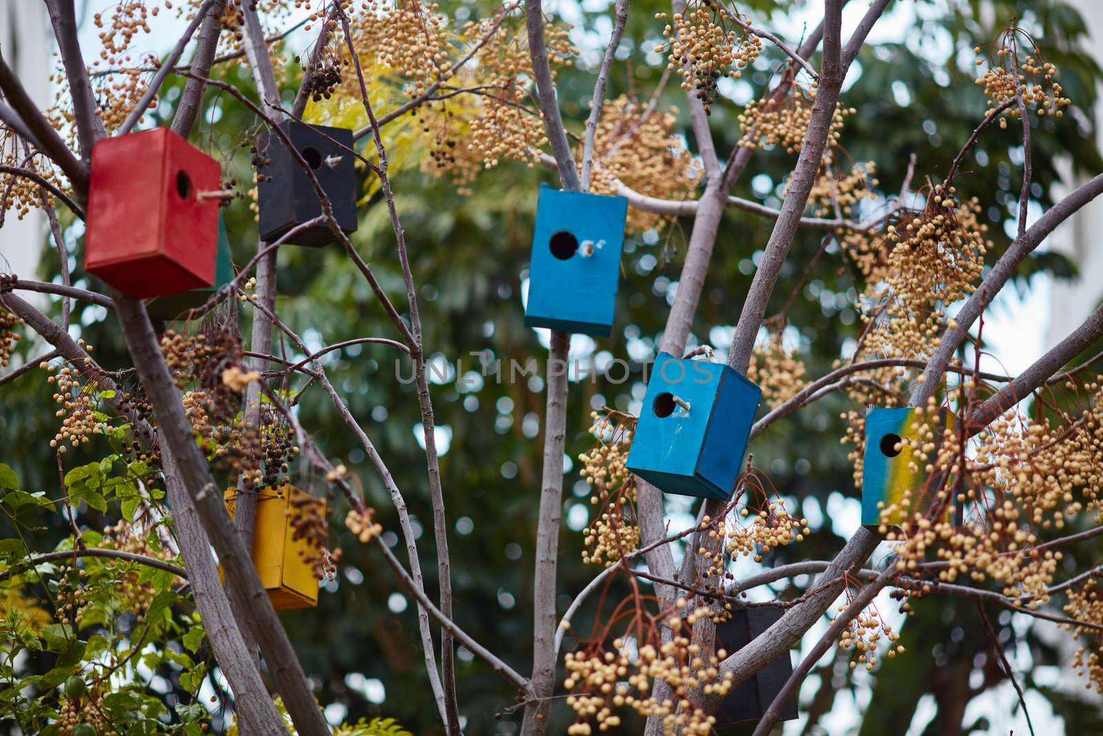 Many colorful bird houses on the tree