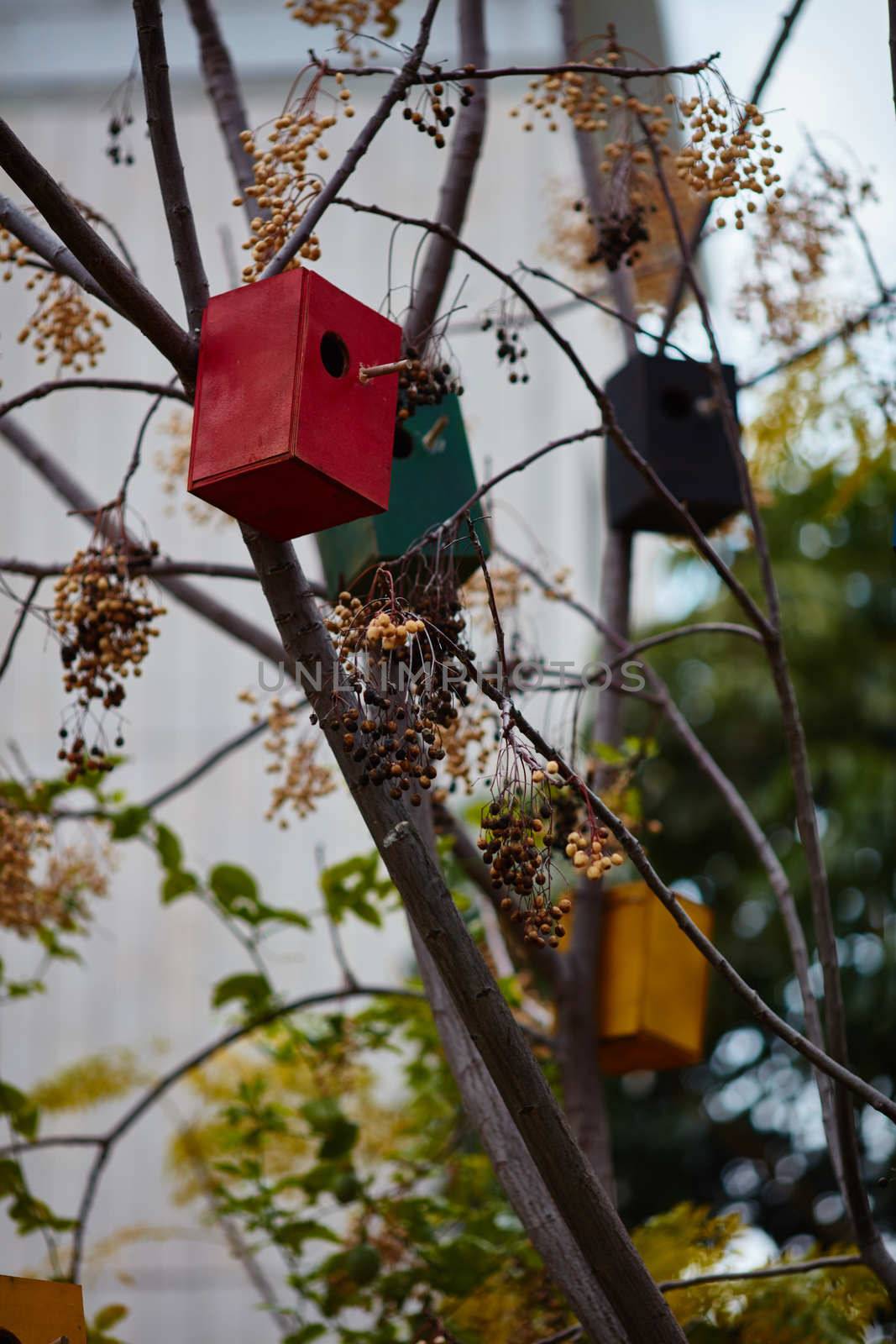 Bird houses on the trees by rasika108