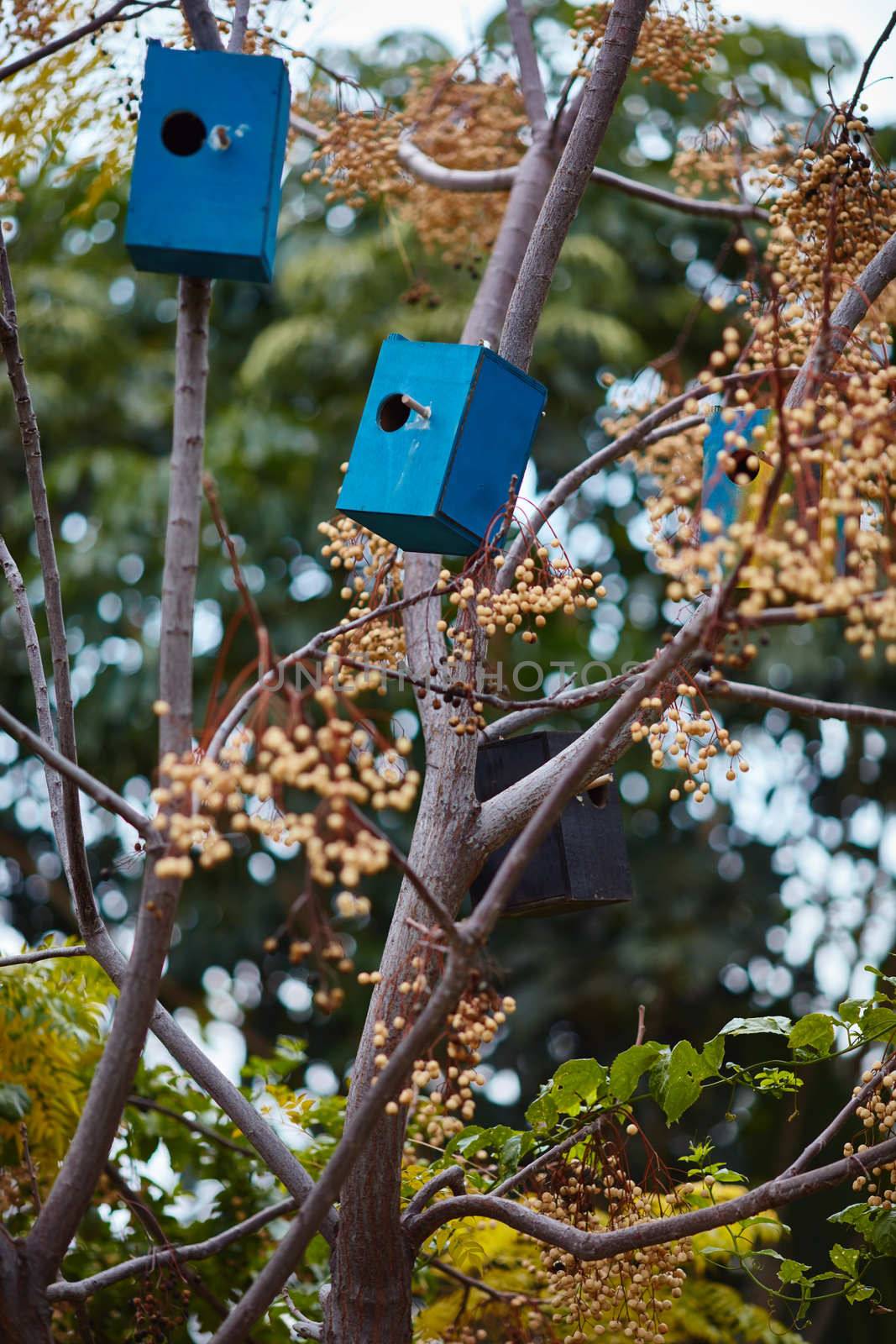 Many colorful bird houses on the tree