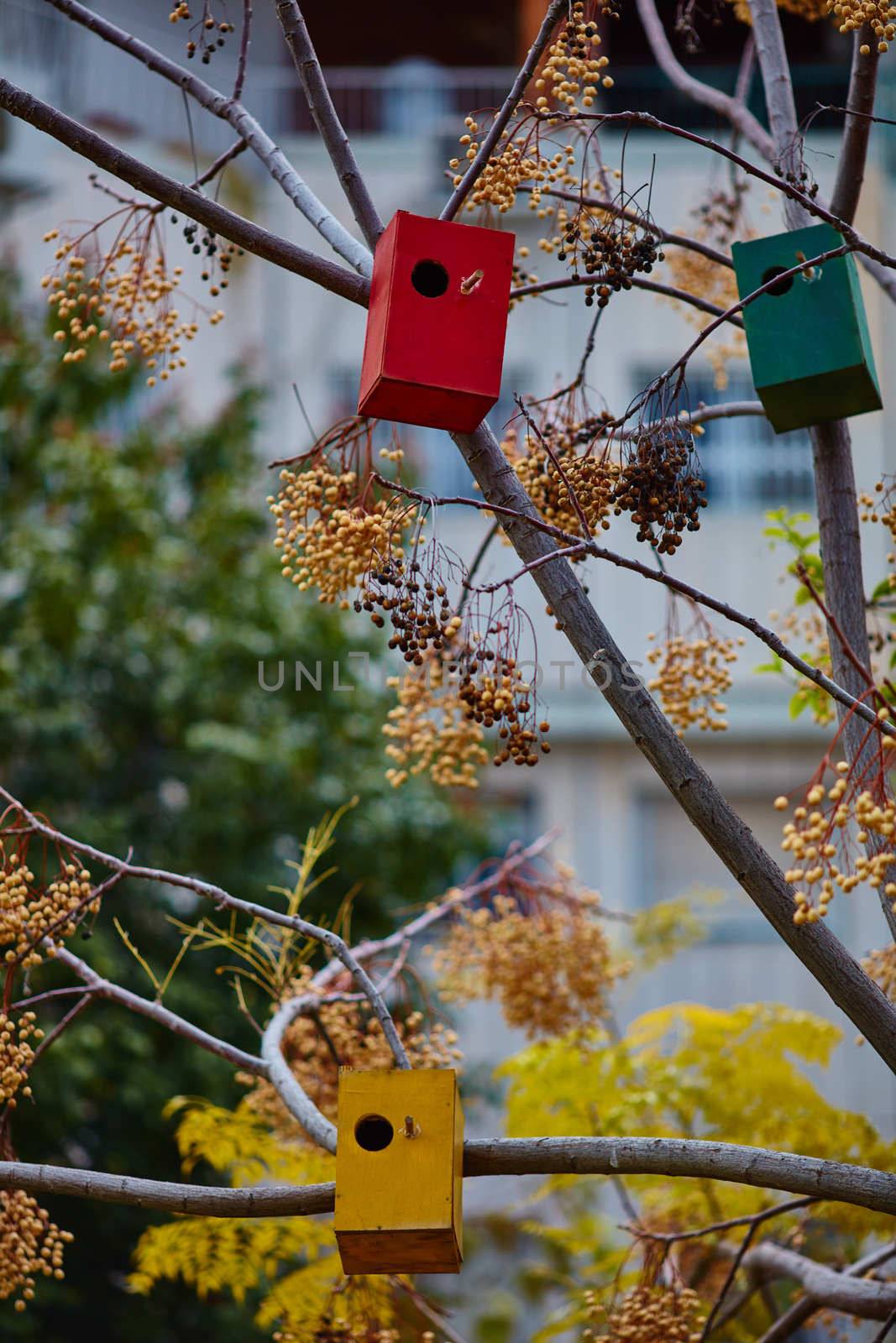 Many colorful bird houses on the tree