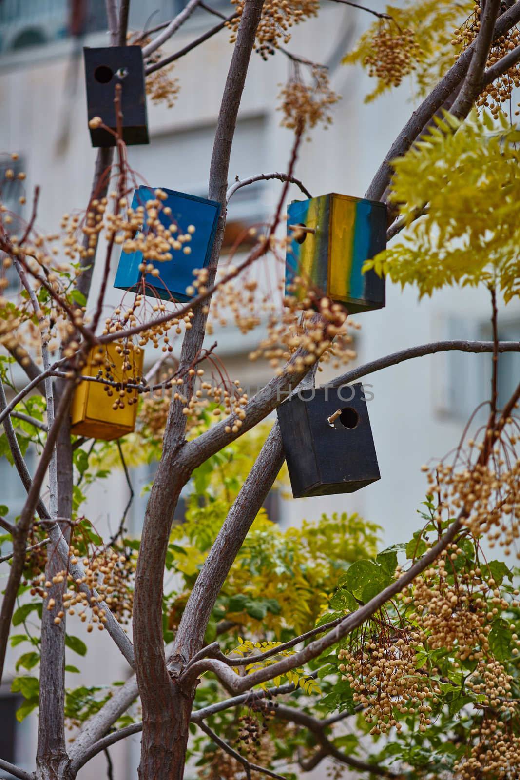 Many colorful bird houses on the tree