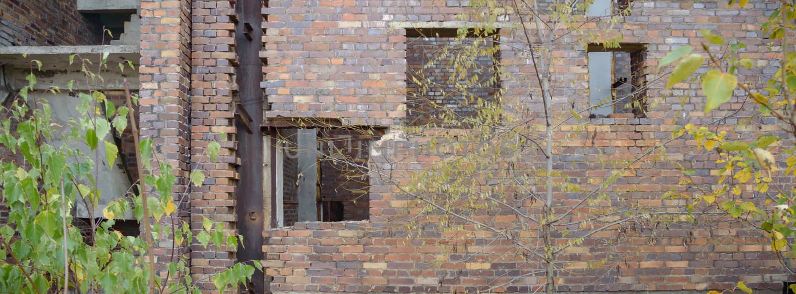 ruins of a very heavily polluted industrial factory, industrial series