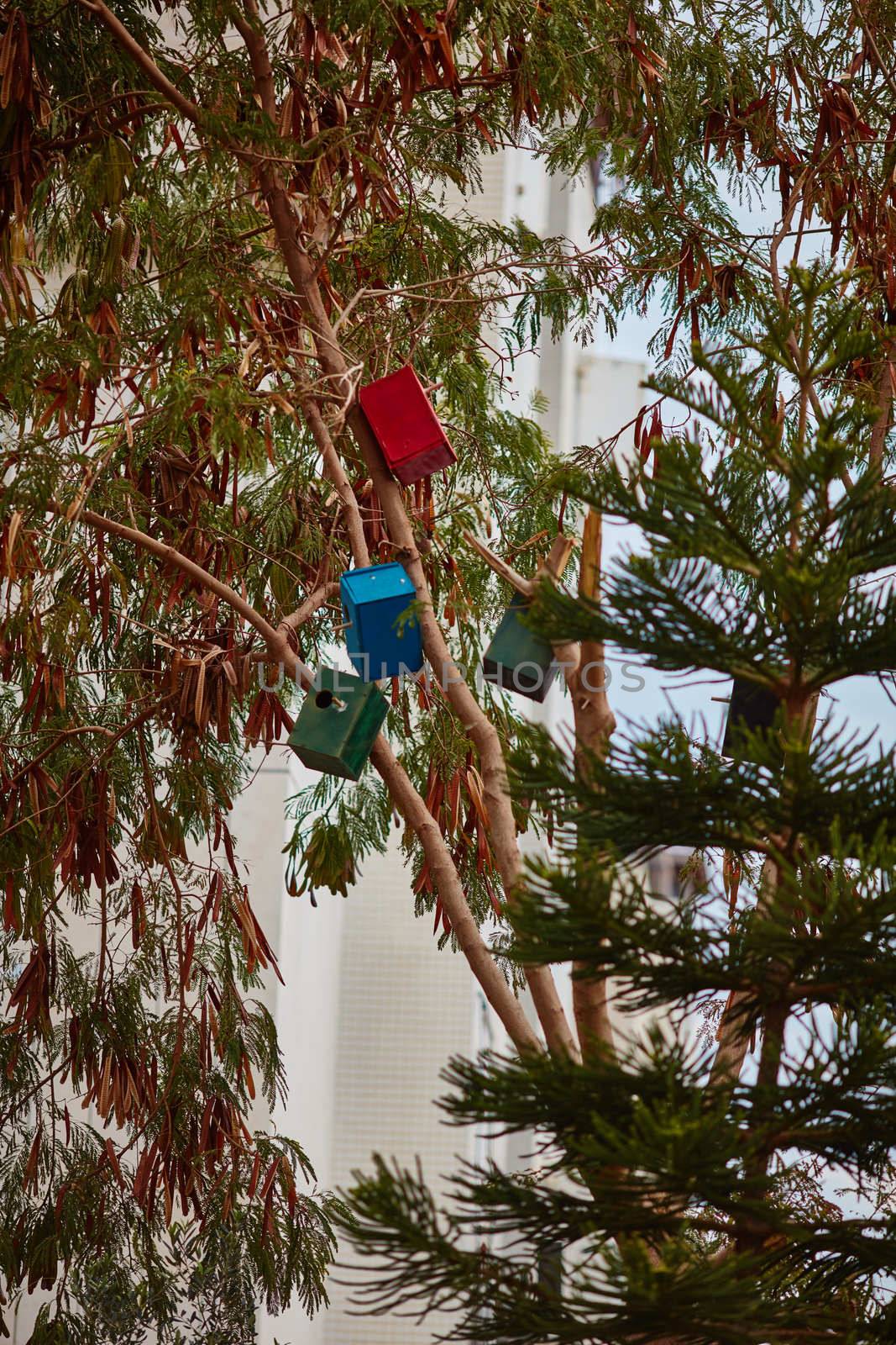 Many colorful bird houses on the tree