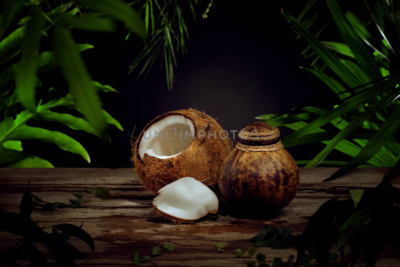 Close up view of nice fresh coconut on green leaf background