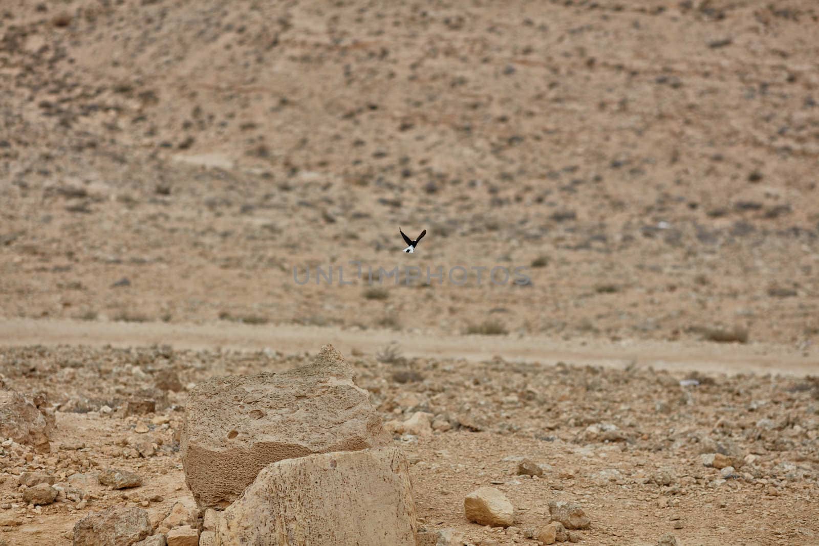 The view in the Negev desert, Israel