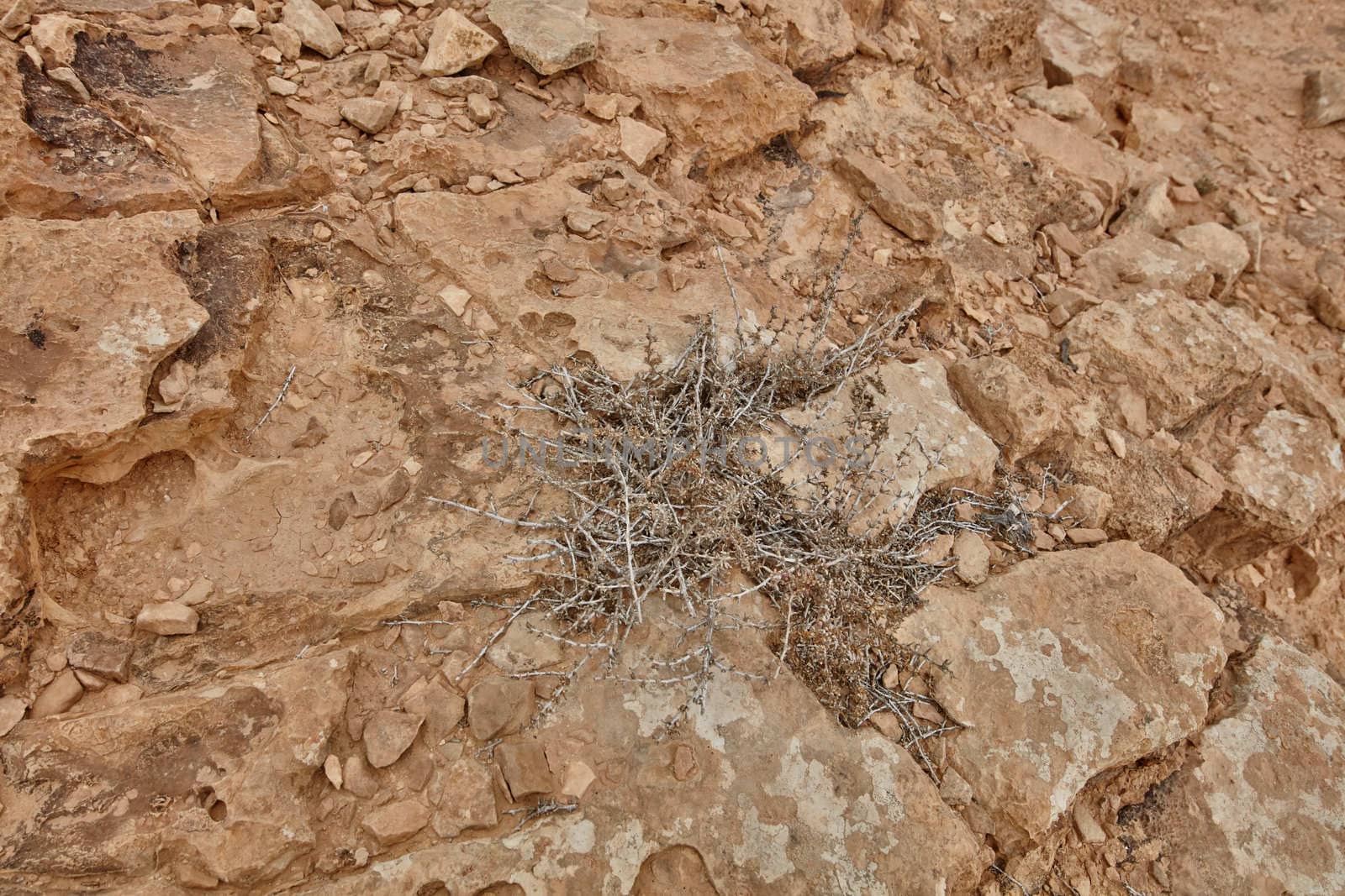 Maktesh Ramon place in the Negev desert, Israel