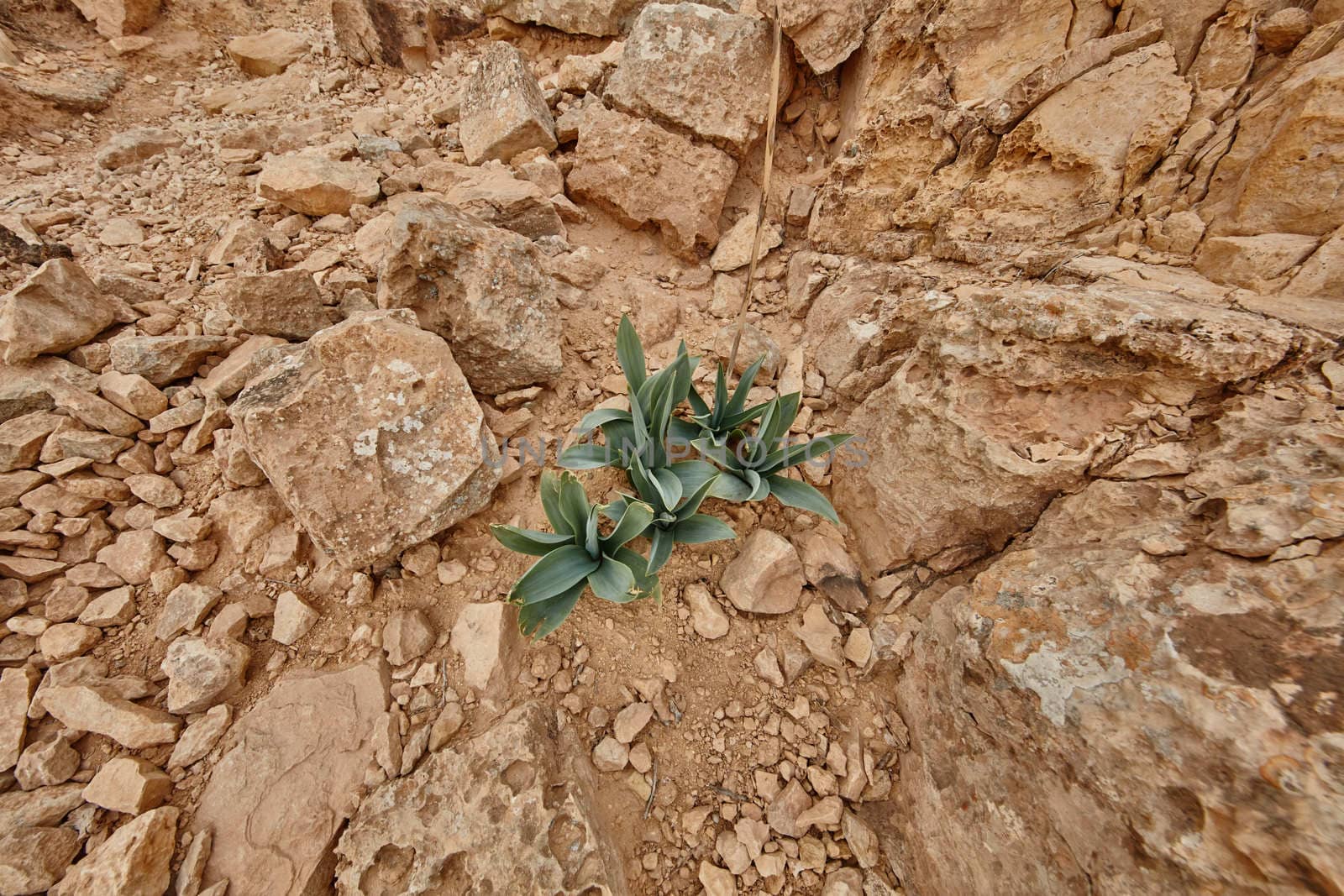 Maktesh Ramon place in the Negev desert, Israel