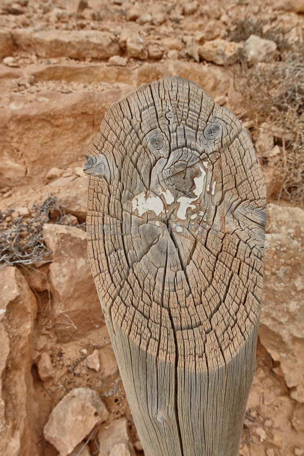 Maktesh Ramon place in the Negev desert, Israel