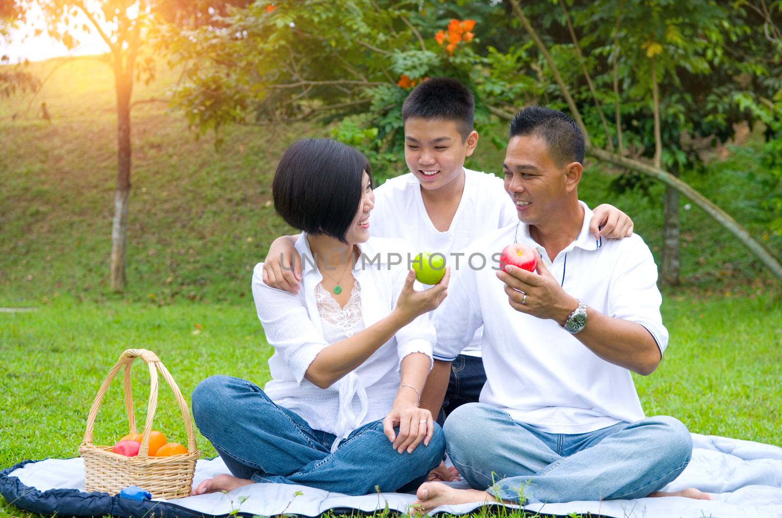 Asian Chinese Family Relaxing at outdoor park 