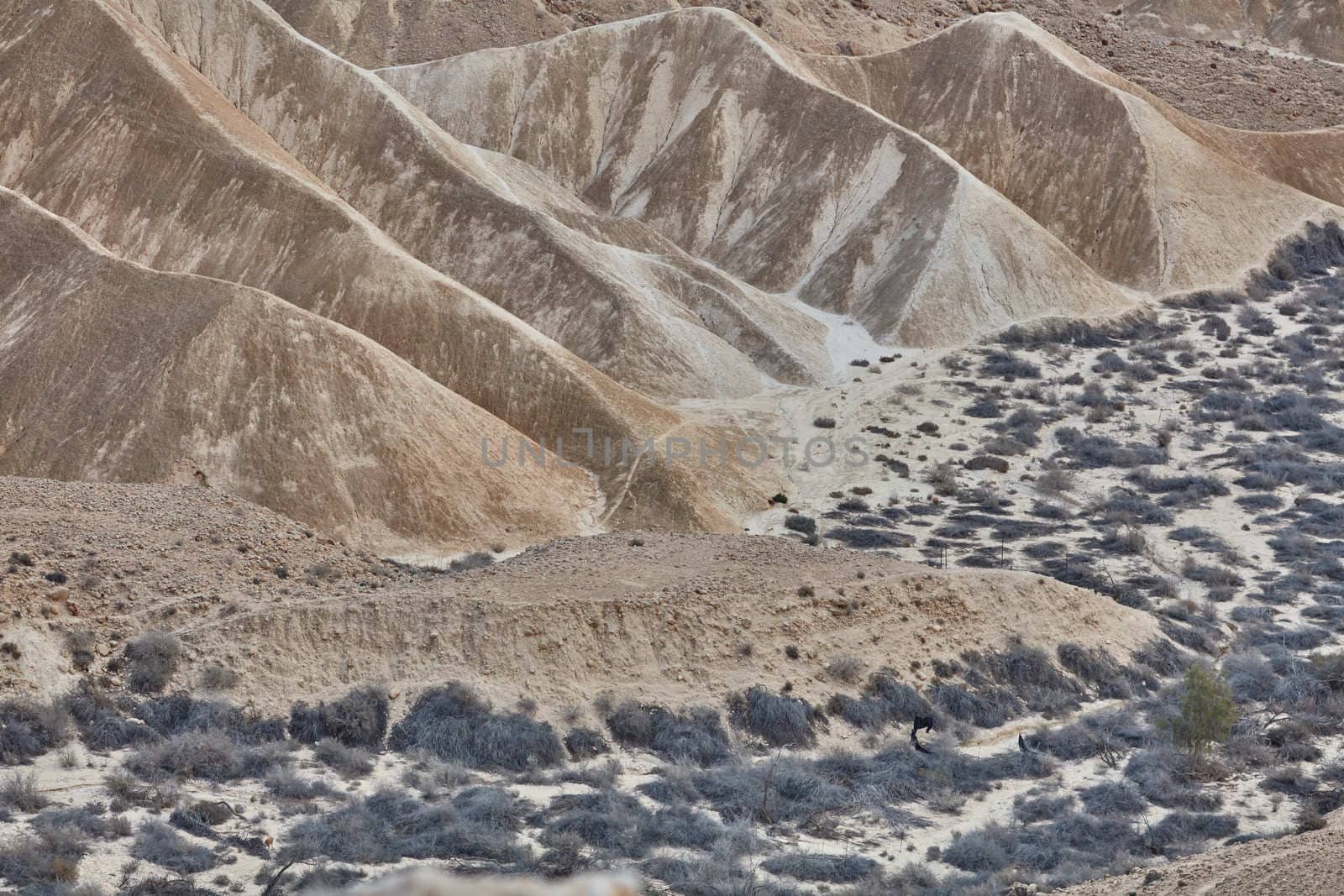 Maktesh Ramon place in the Negev desert, Israel