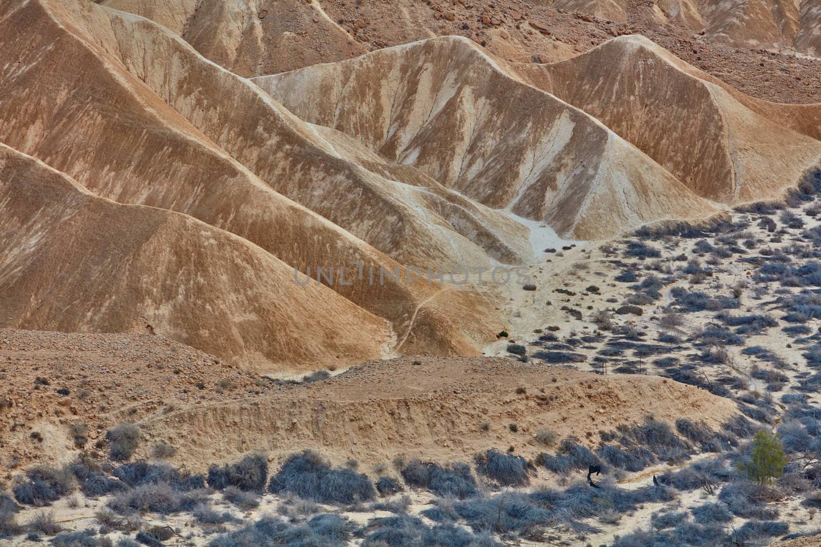 Maktesh Ramon place in the Negev desert, Israel