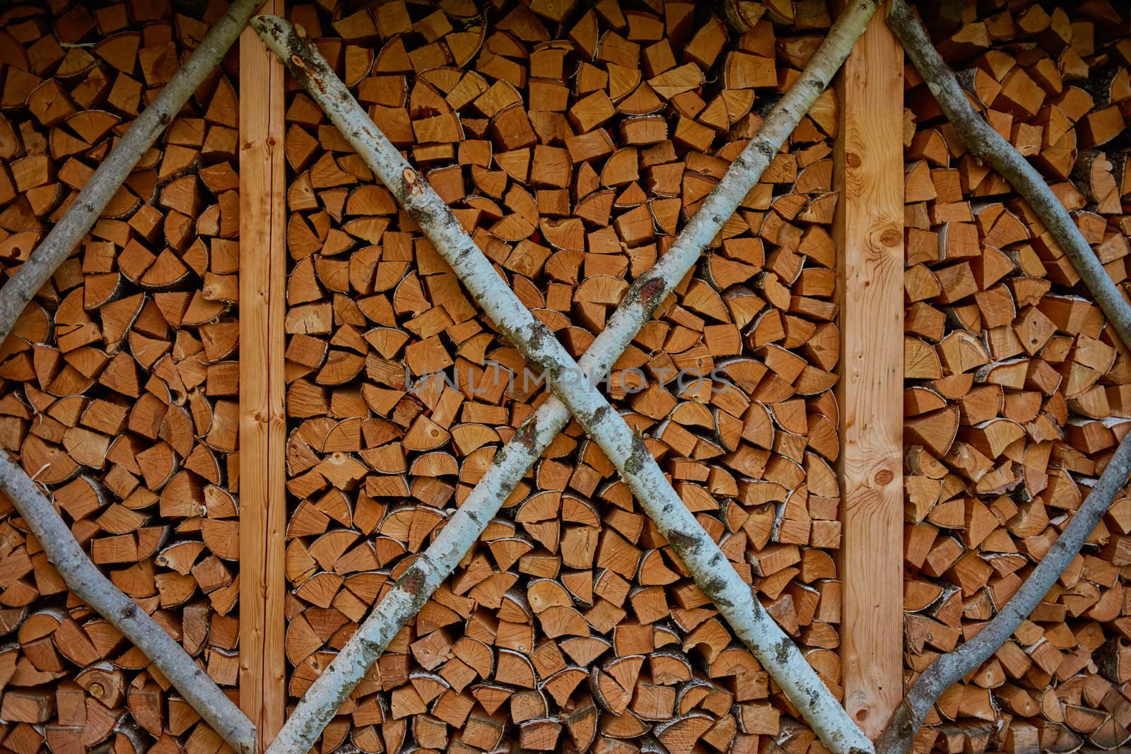 Bunch of logs collected in a pile