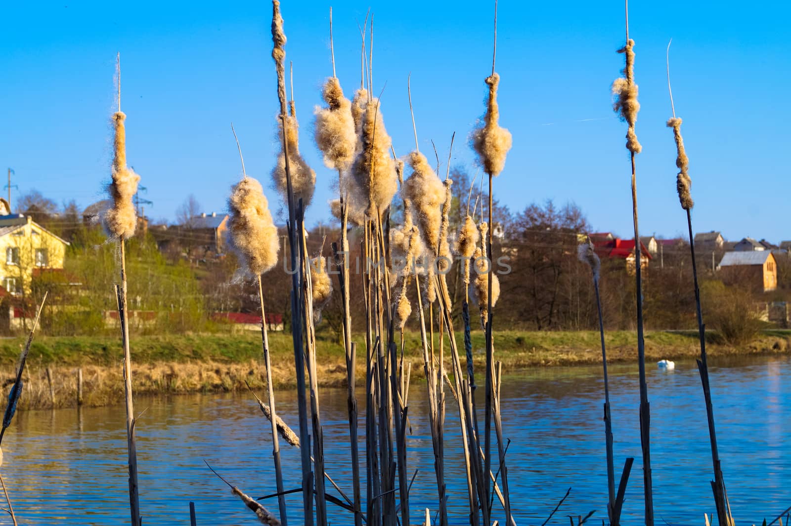 beautiful landscape on a lake outside of town by Oleczka11