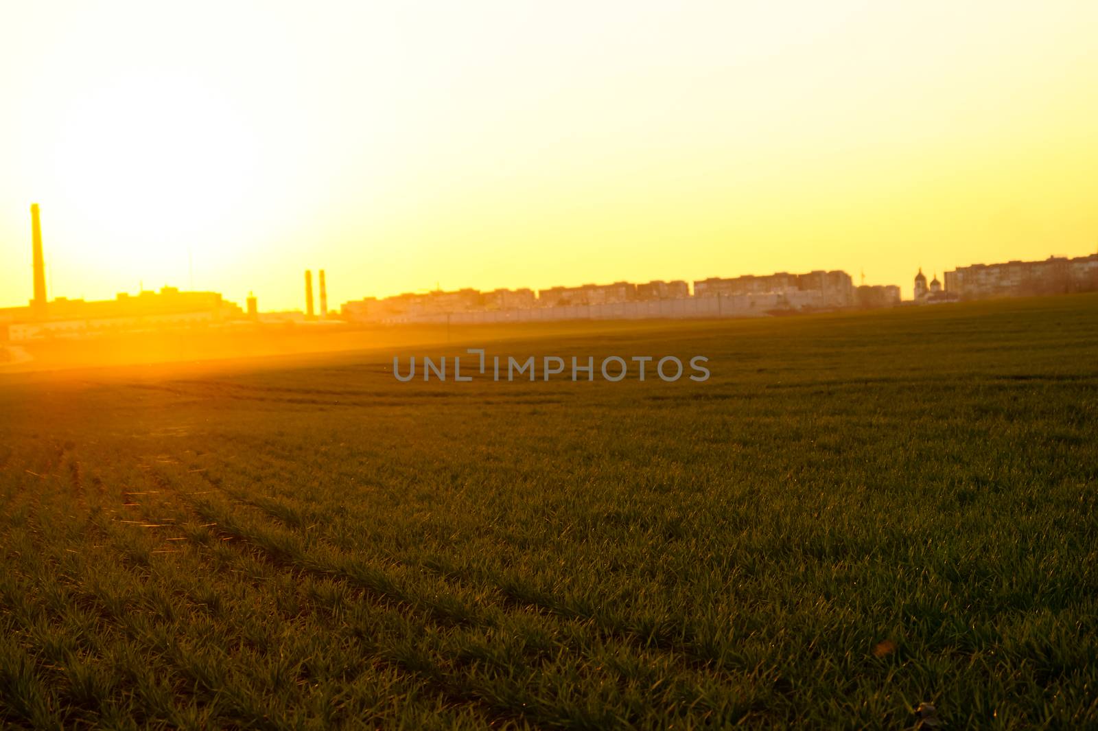 a beautiful sunset in a field outside the city by Oleczka11