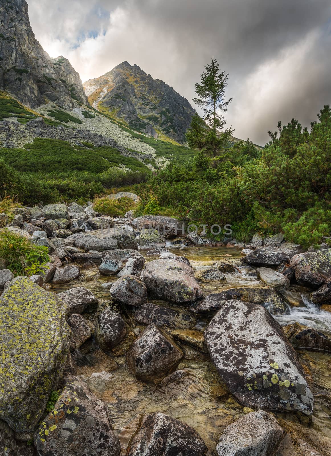 Mountain Landscape with a Creek by Kayco