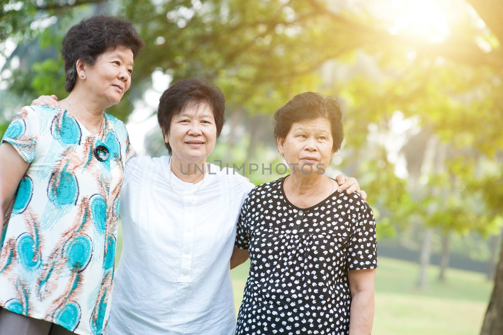 Group of Asian elderly females having fun at green park, active senior adult outdoors, friendship concept, morning sun flare background.