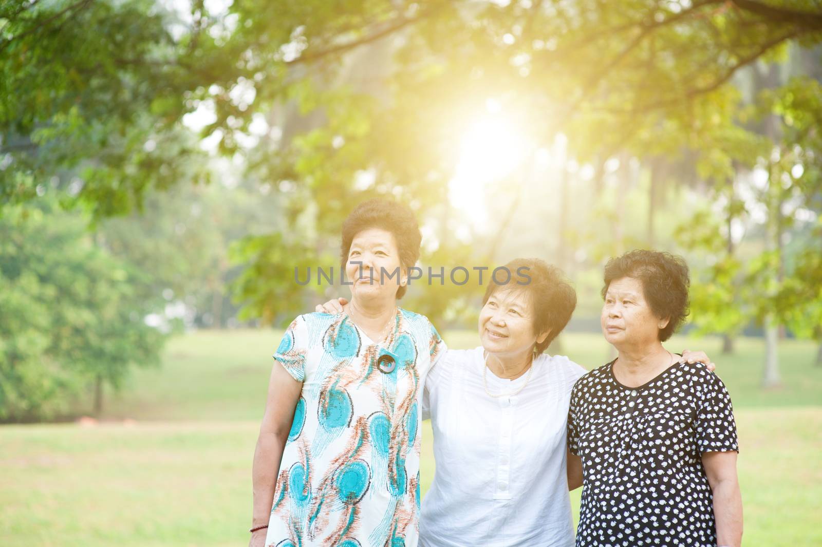 Group of Asian senior adult women having fun at green park, elderly outdoors activity, friendship concept, morning sun flare background.