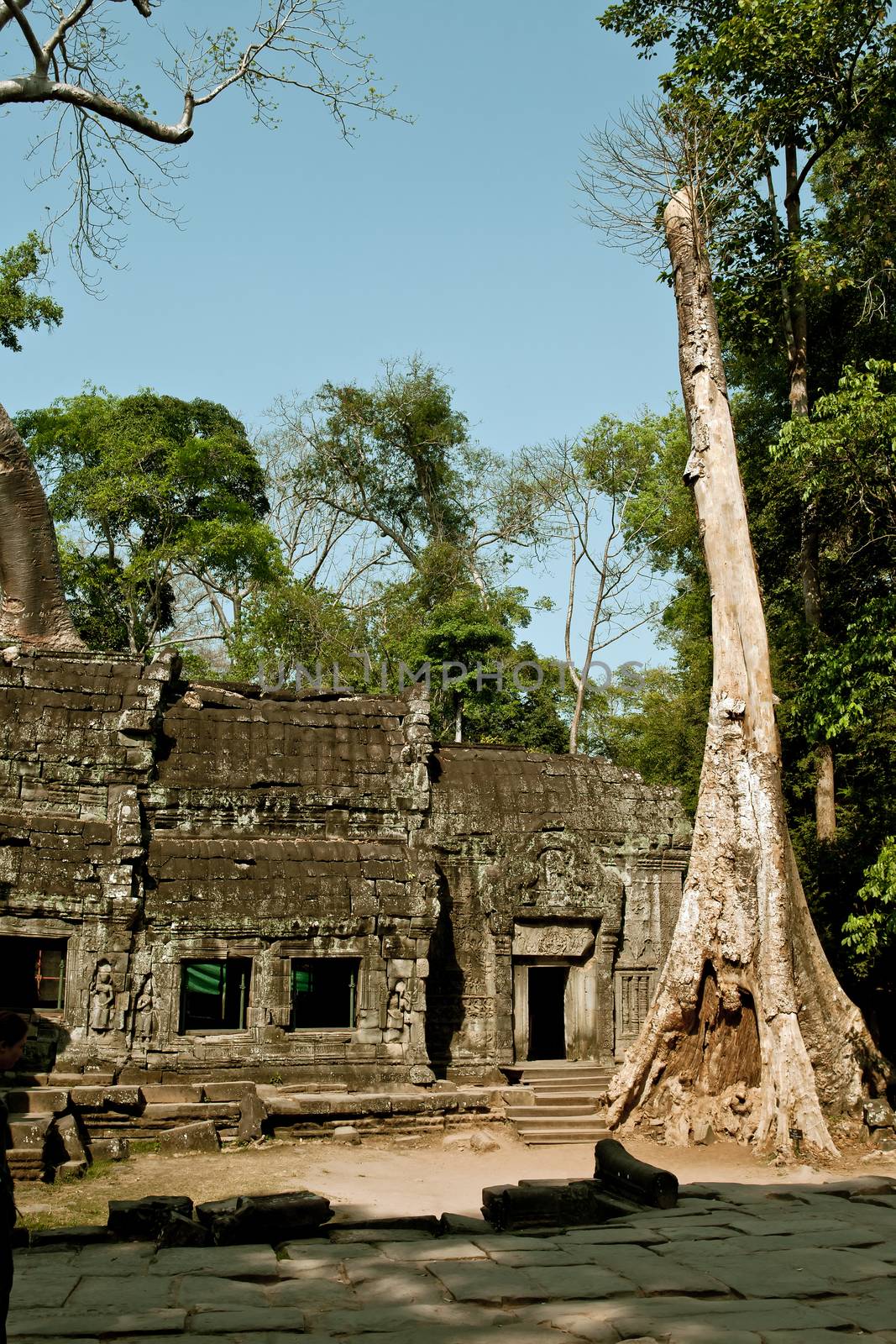 The ruins of Angkor Wat Temple in Cambodia