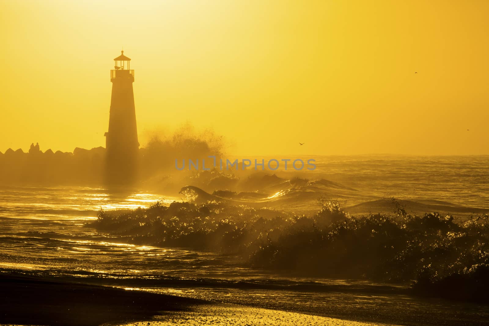 Lighthouse on Santa Cruz Shore by hanusst