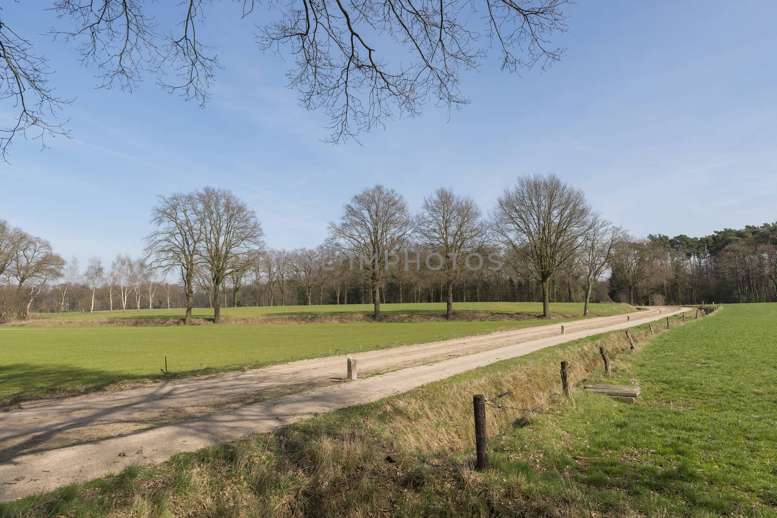 The characteristic half-open farmlands in the Achterhoek near Winterswijk in the Netherlands
