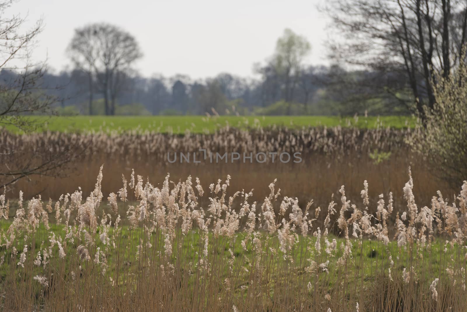 New nature in the form of widening of the Slingebeek in the municipality of Winterswijk in the Achterhoek in the Netherlands
