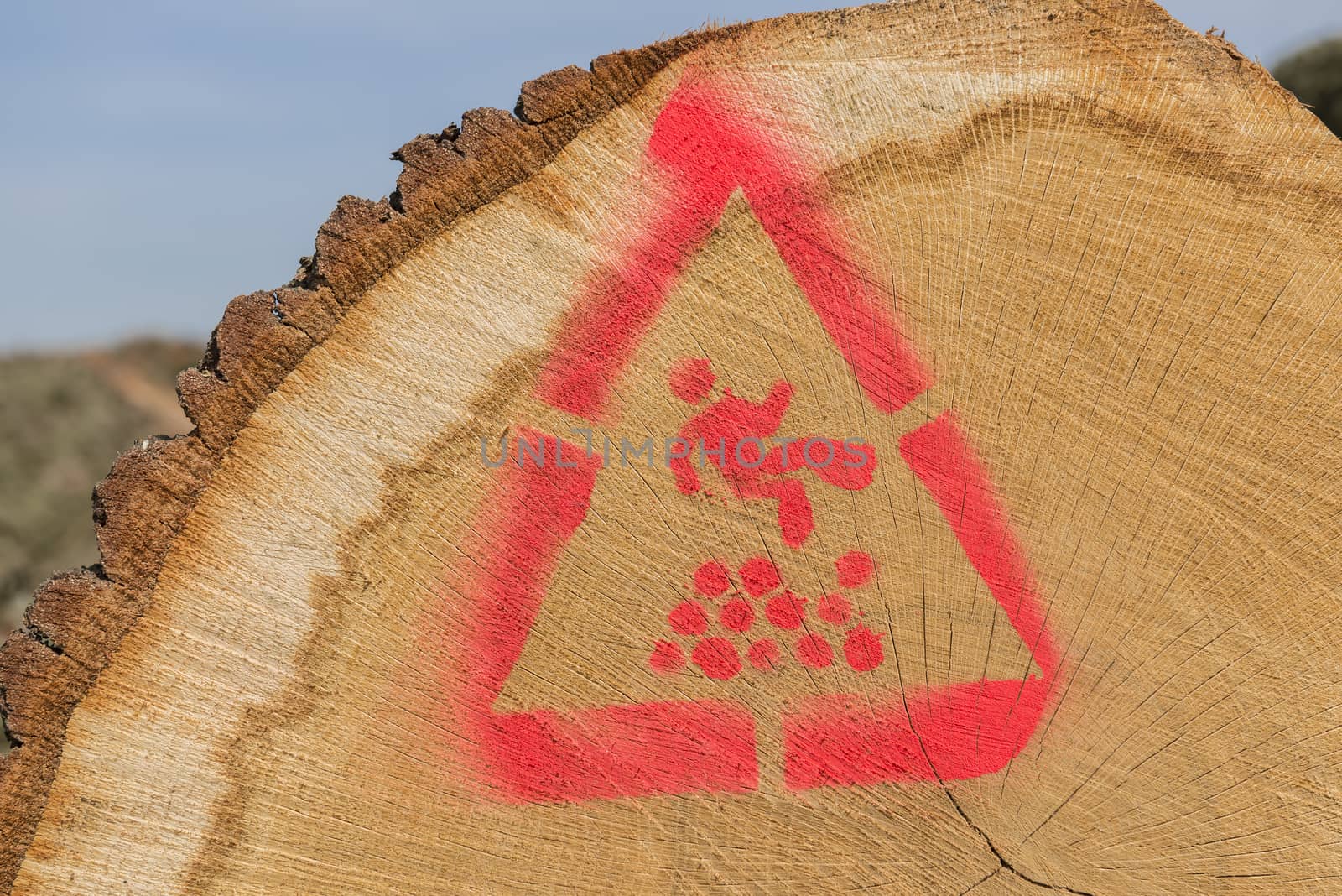 Sawn trunks stacked on the side of the road with warning icons against ascend in the Netherlands
