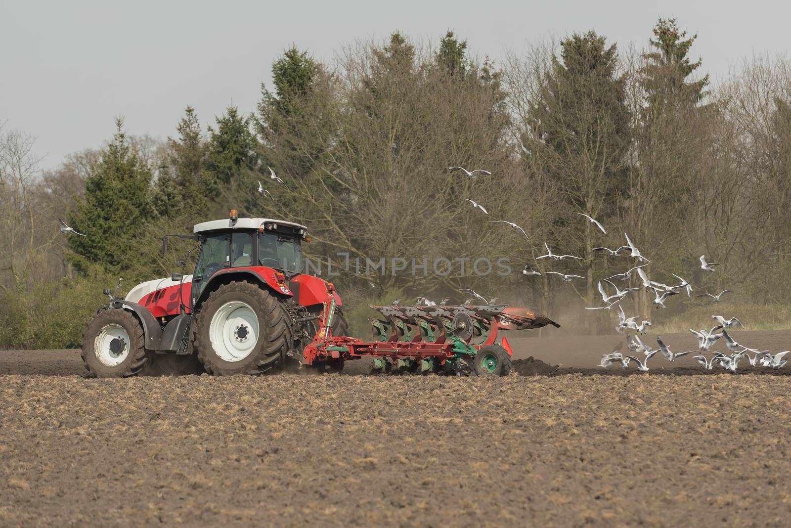 Agriculture ploughing tractor with seagulls
 by Tofotografie
