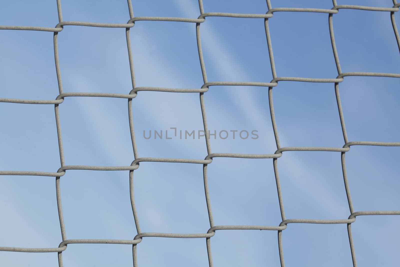 Wire netting fence