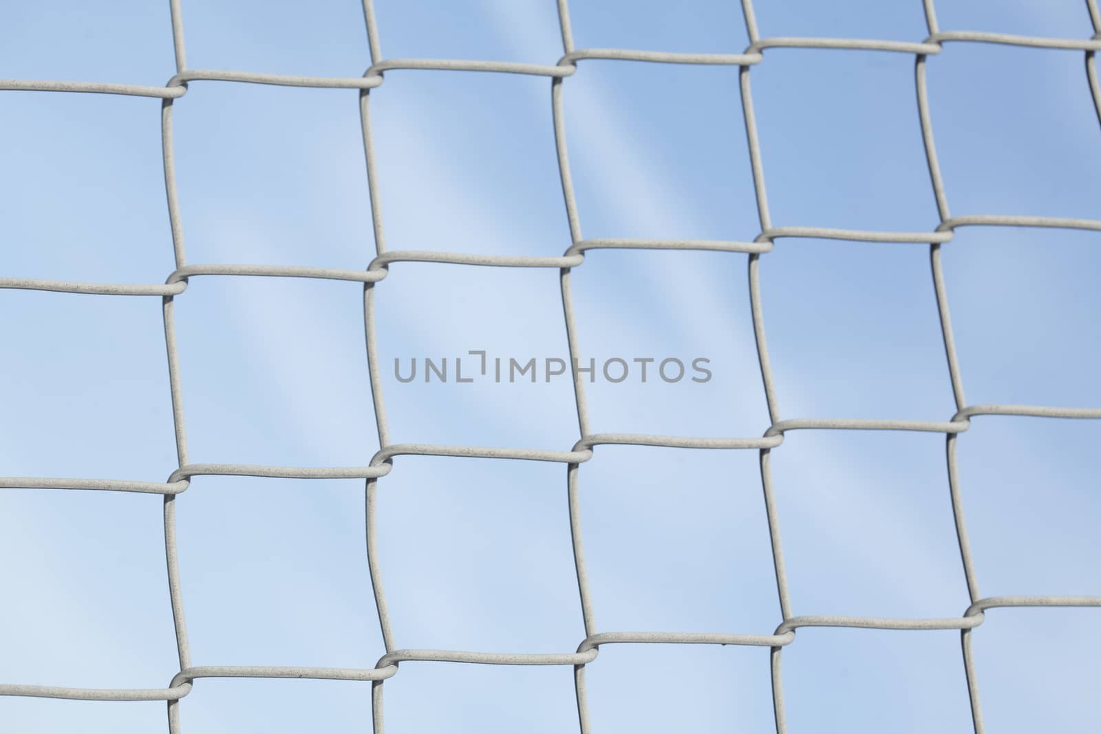 Wire netting fence