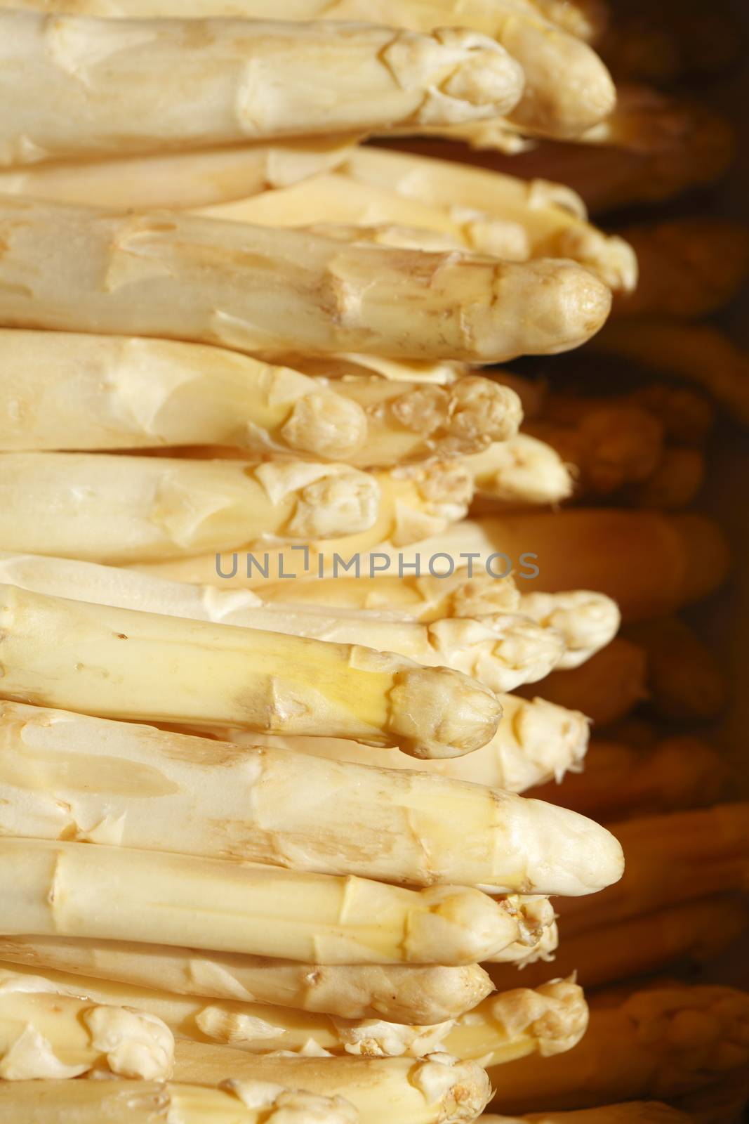 Fresh French Aspargus on a Market Stall