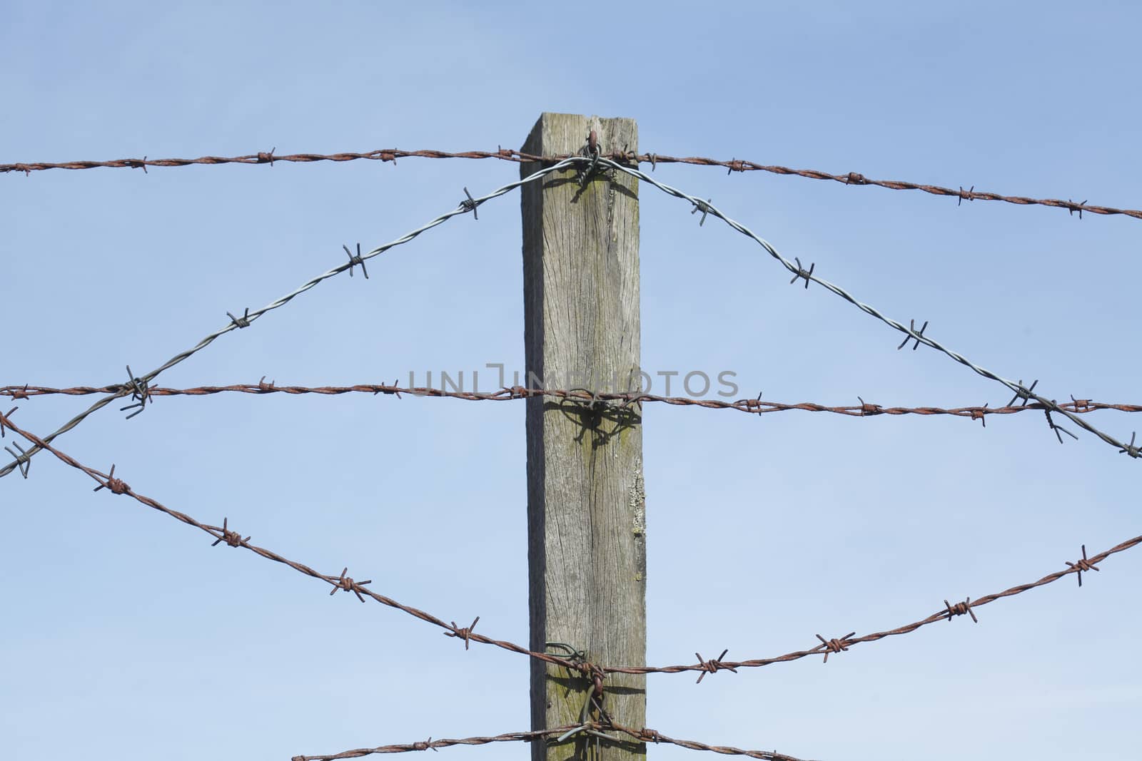 barbed wire fence