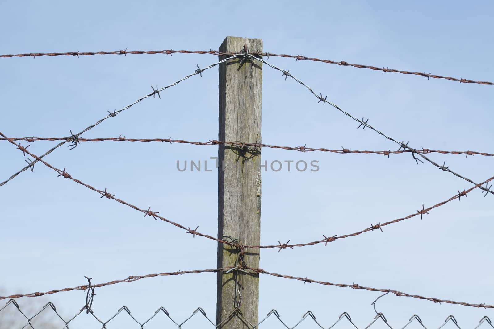 barbed wire fence