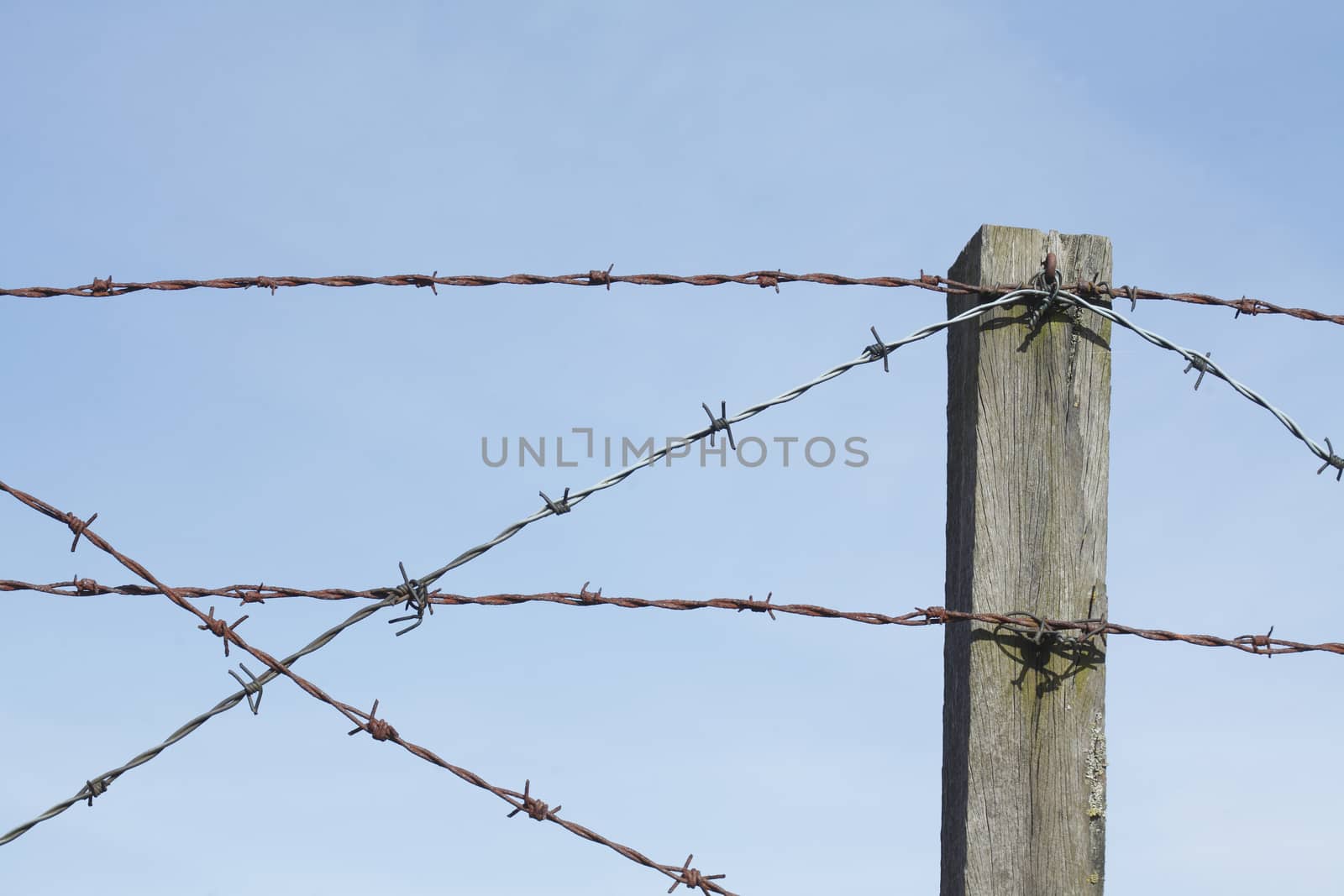 barbed wire fence