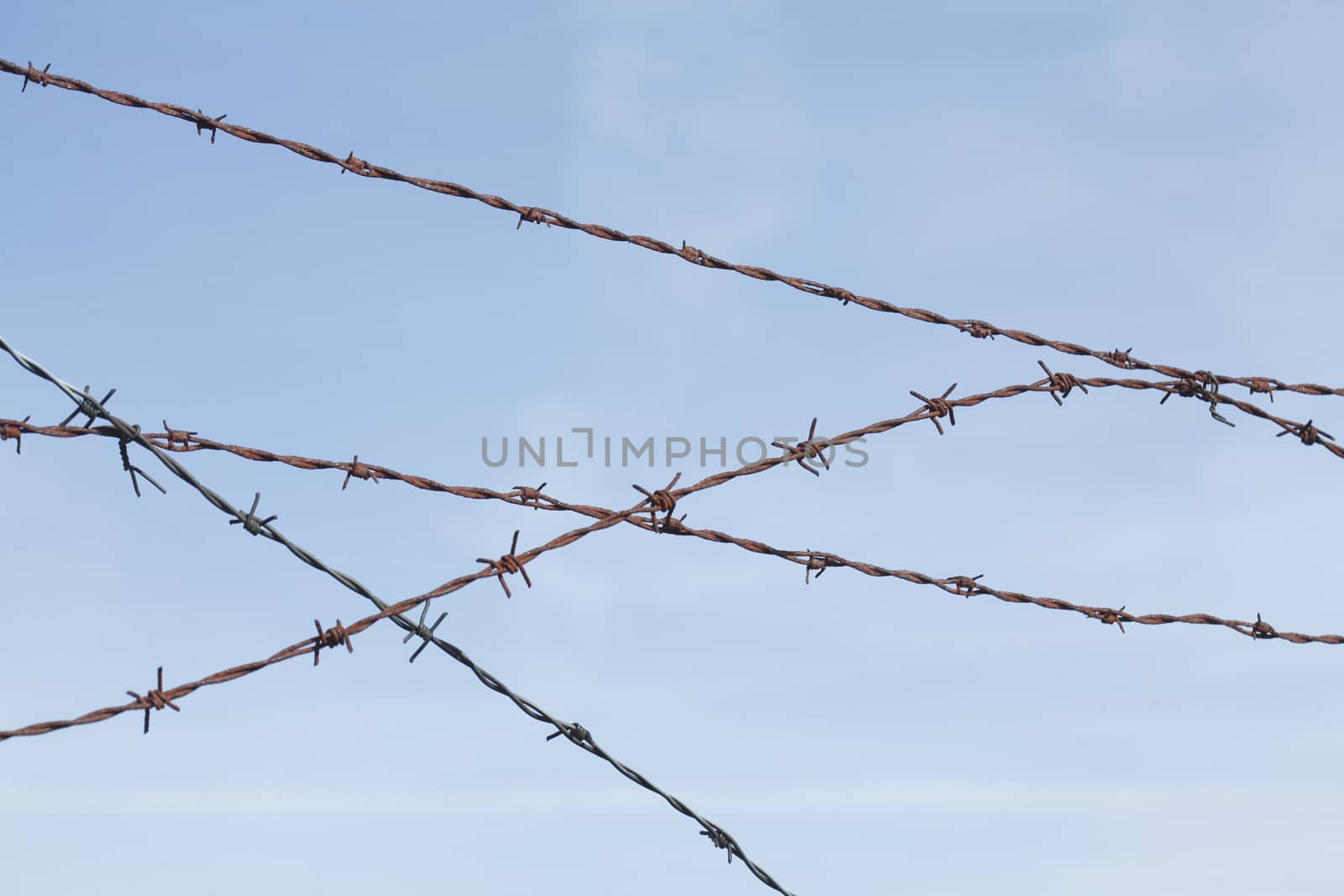 barbed wire fence