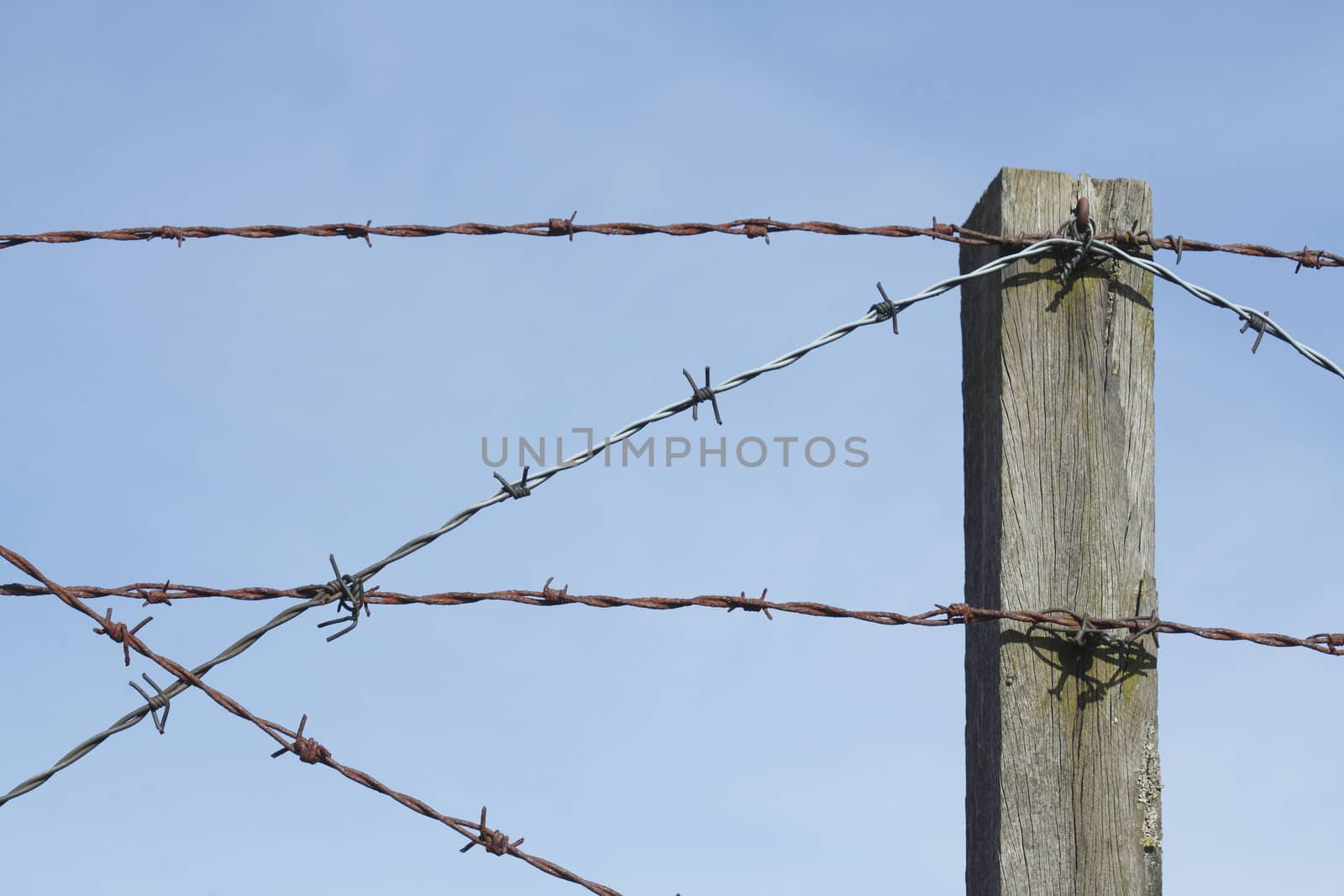 barbed wire fence