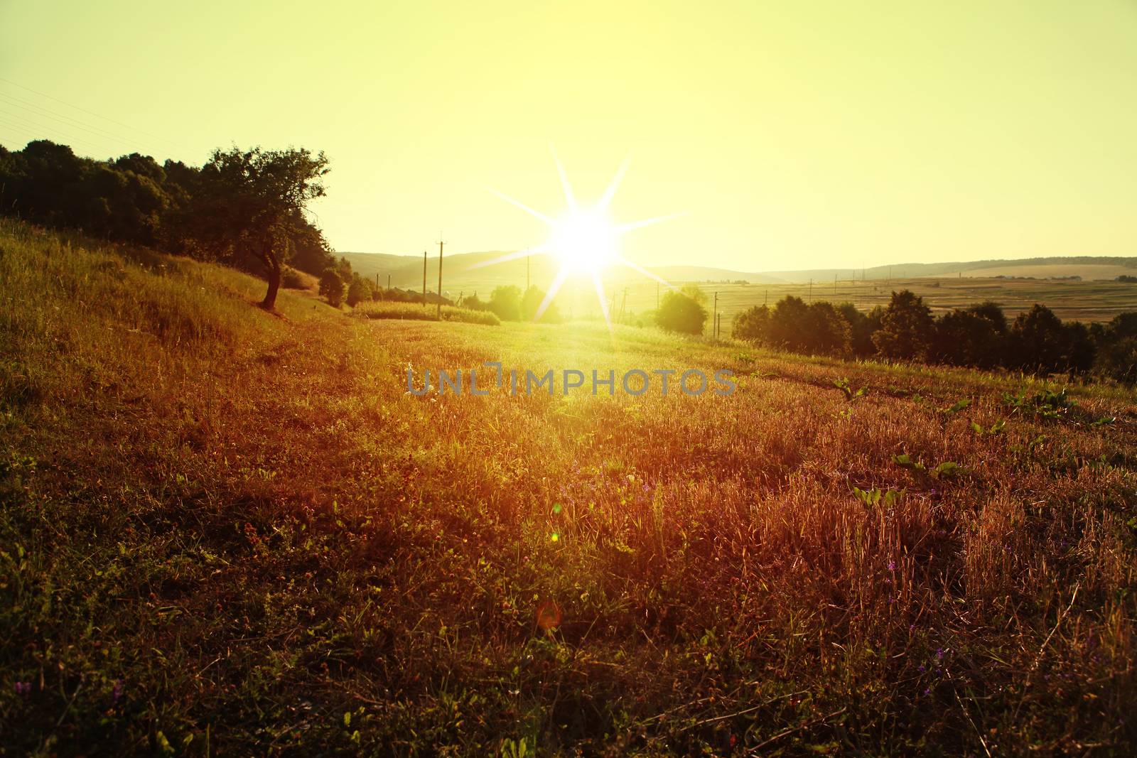 sunrise over meadow in rural areas in the summer