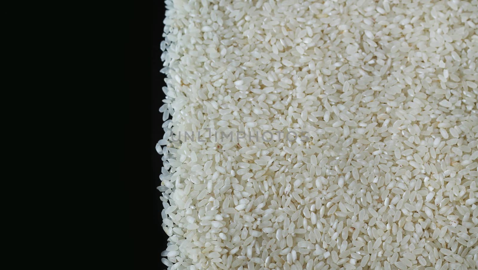 Pile of rice or wholegrain spill right on black background. Agriculture food raw seed. Closeup macro photo