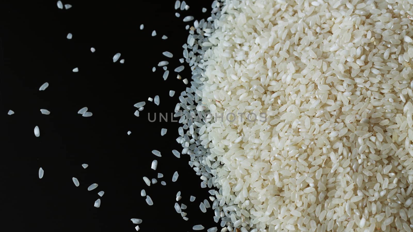 Pile of rice spill right on black background. Agriculture food raw seed. Closeup macro photo