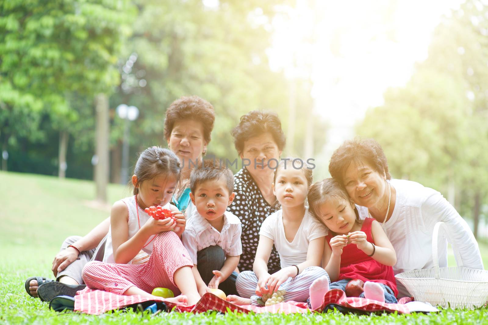 Group of Asian multi generations family portrait, grandparent and children, outdoor nature park in morning with sun flare.